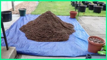 [ID: 5HRLglgi-EA] Youtube Automatic