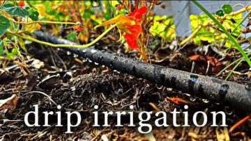 [ID: 5IDG_uZ8YZA] Youtube Automatic