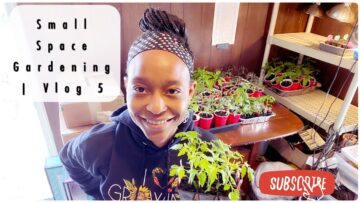 [ID: 5l1GbCbbZfA] Youtube Automatic