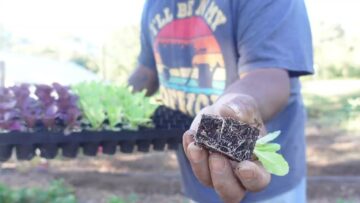 [ID: 5Luh4NLBbcU] Youtube Automatic