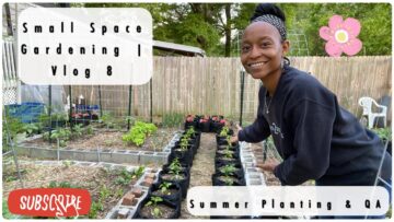 [ID: 5oLZDJA8EUw] Youtube Automatic