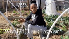 [ID: 5sqcQtkwTAg] Youtube Automatic