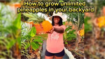 [ID: 5TeKvy2FkTM] Youtube Automatic