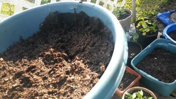 [ID: 5YnW8L5rNeQ] Youtube Automatic