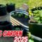 SPRING GARDEN TOUR | CONTAINER AND RAISED BED GARDENING FOR BEGINNERS