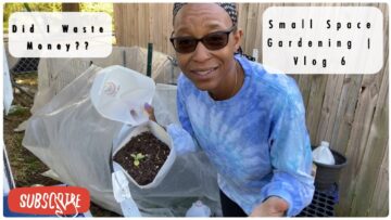 [ID: 6ccSF8Yn1bs] Youtube Automatic