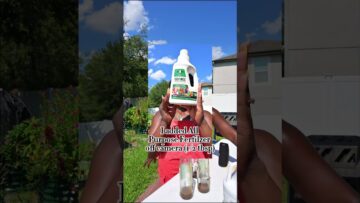 [ID: 6DmCDDqj4D8] Youtube Automatic