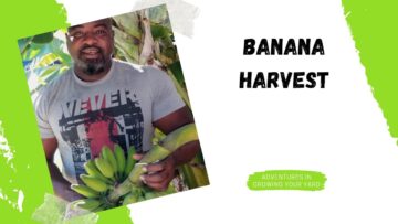 [ID: 6_ehx9W5JjI] Youtube Automatic