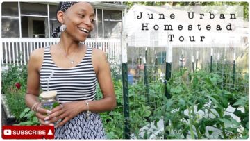 [ID: 6gXB3JFWJZI] Youtube Automatic