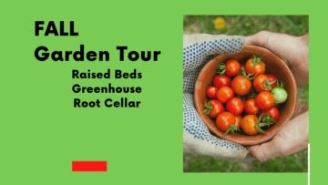 [ID: 6HFuOo4SX5I] Youtube Automatic