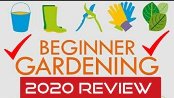 [ID: 6jVQP1MUPvM] Youtube Automatic