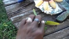 [ID: 6RczhO_W-t8] Youtube Automatic