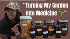 [ID: 6UEnqbE6OPc] Youtube Automatic