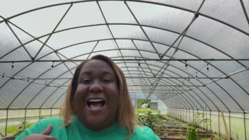 [ID: 6vdBKnBgCn8] Youtube Automatic