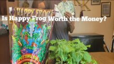 [ID: 6VjeSTjZdTc] Youtube Automatic