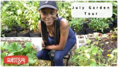 [ID: 6waRBc01bpc] Youtube Automatic