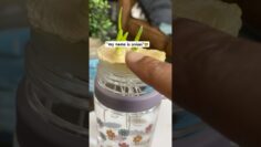 [ID: 6x5lJizZIl4] Youtube Automatic