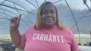 [ID: 72kVkcshL50] Youtube Automatic