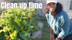 [ID: 7Aen3zYOCB0] Youtube Automatic