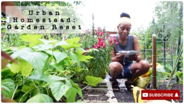 [ID: 7B_s8YPTL-k] Youtube Automatic