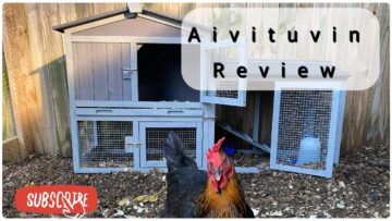 [ID: 7gtw7vh-XRY] Youtube Automatic