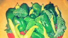 [ID: 7k0zDjkHqRg] Youtube Automatic