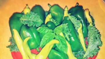 [ID: 7k0zDjkHqRg] Youtube Automatic