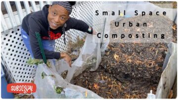 [ID: 7K8ITRDQl-M] Youtube Automatic