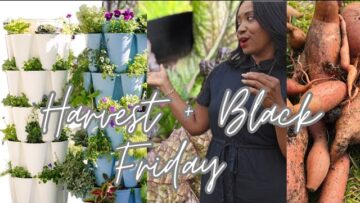 [ID: 7LwInqH9LCU] Youtube Automatic