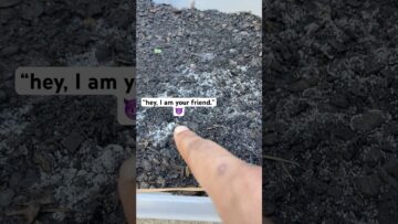 [ID: 7M-XVHMFWmI] Youtube Automatic