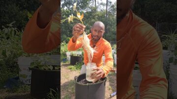 [ID: 7nHdYCr6rOE] Youtube Automatic