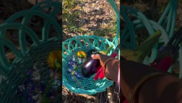 [ID: 7NkbAidt09Q] Youtube Automatic