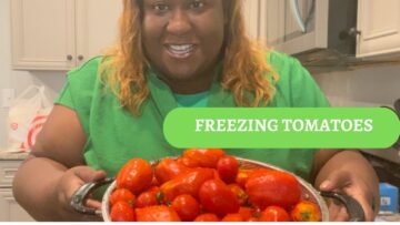 [ID: 7NyKNdUli3I] Youtube Automatic