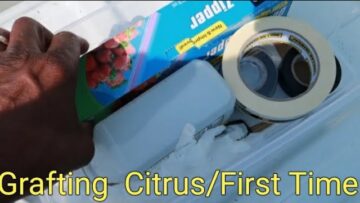 [ID: 7oV1hRK5qJs] Youtube Automatic