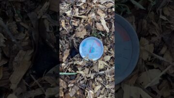 [ID: 7SoO8GPNZjk] Youtube Automatic