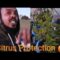 🥶First Frost Protection 🥶Citrus Protection 🍊Greenhouse Help