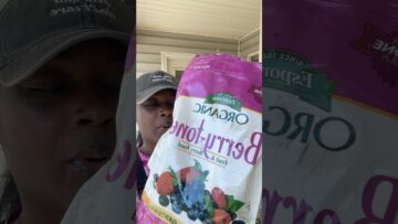 [ID: 8uZV2iaIRTY] Youtube Automatic