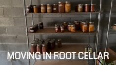 [ID: 8v4bt-lPgDc] Youtube Automatic