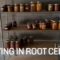 A DAY IN THE LIFE & MOVING INTO ROOT CELLAR|VLOG