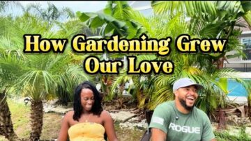 [ID: 8vn3qbSLxcI] Youtube Automatic