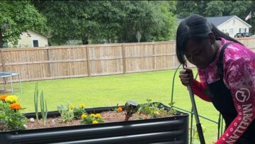 [ID: 938eqfX3Liw] Youtube Automatic