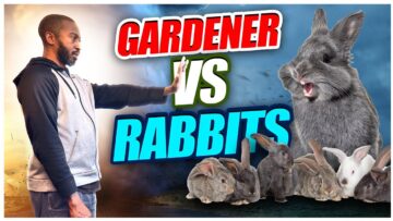 [ID: 948g8JyuUuw] Youtube Automatic