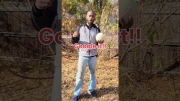 [ID: 9F_dhJuXuds] Youtube Automatic