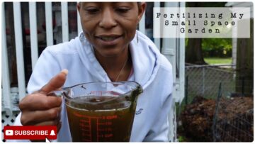 [ID: 9iUhx0pB120] Youtube Automatic