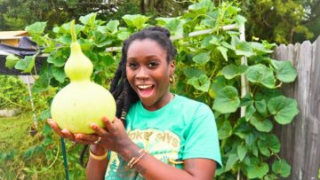 [ID: 9MYOOxEYT4M] Youtube Automatic