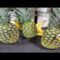 How to Grow Pineapples from Store Bought Pineapples????