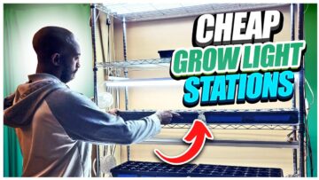 [ID: 9PVOy2o509w] Youtube Automatic