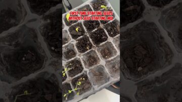 [ID: 9ReFboeBW7k] Youtube Automatic