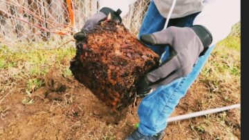 [ID: 9ri9-0jmsj4] Youtube Automatic