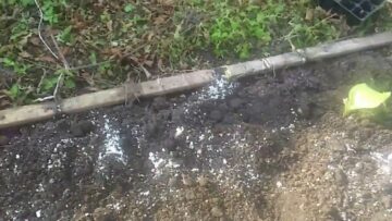 [ID: a7rZaw1E3UM] Youtube Automatic